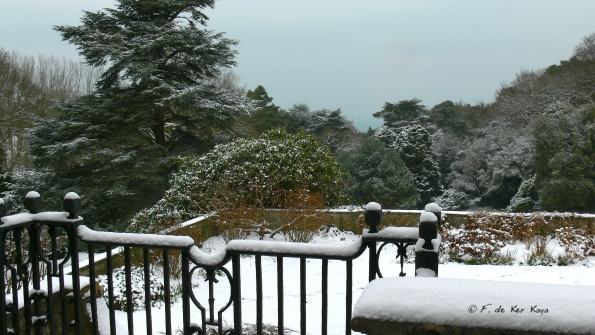 Bois des Moutiers Winterreise (22)